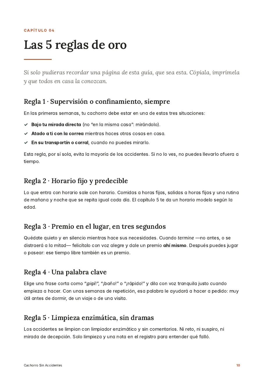 Página interior: las 5 reglas de oro