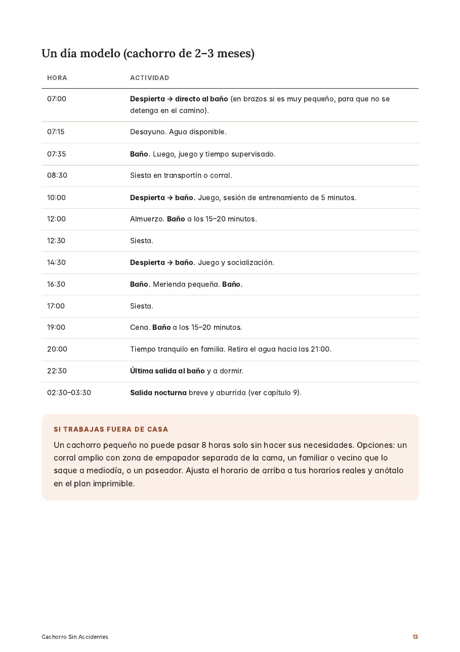 Página interior: horario modelo por edad